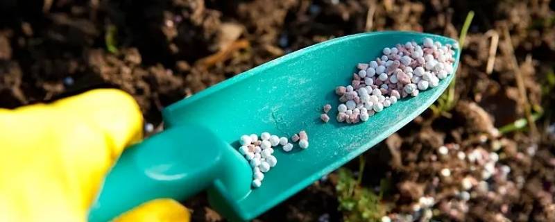 微生物肥料和化肥之间有什么关系 生物肥和微生物肥的区别