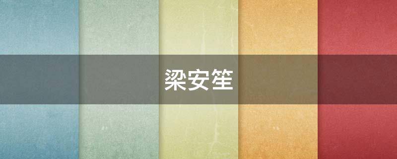 梁安笙（梁安笙小说）
