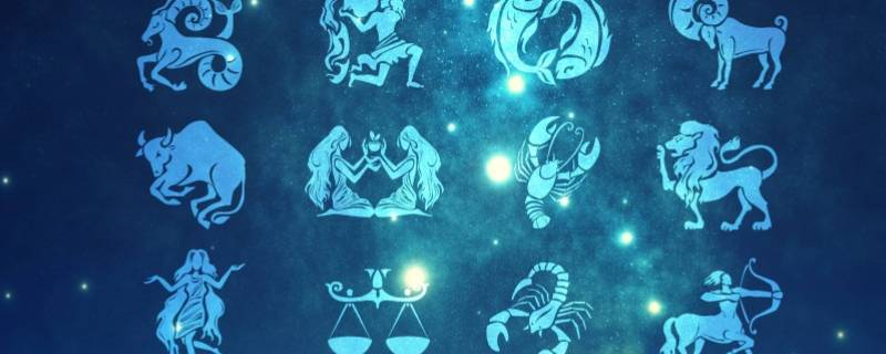 四大上等星座是谁（四大上等星座是谁创造的）