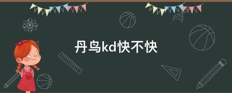 丹鸟kd快不快（丹鸟快递查询）