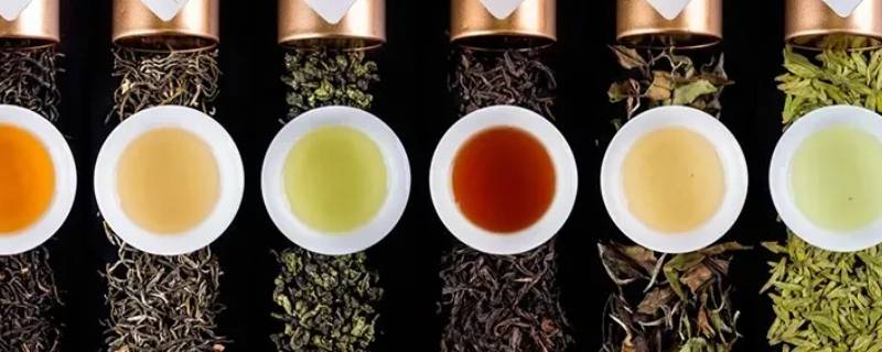 茶叶的种类 茶叶的种类及其特点