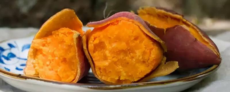 红薯最怕什么肥料（红薯最怕什么肥料呢）