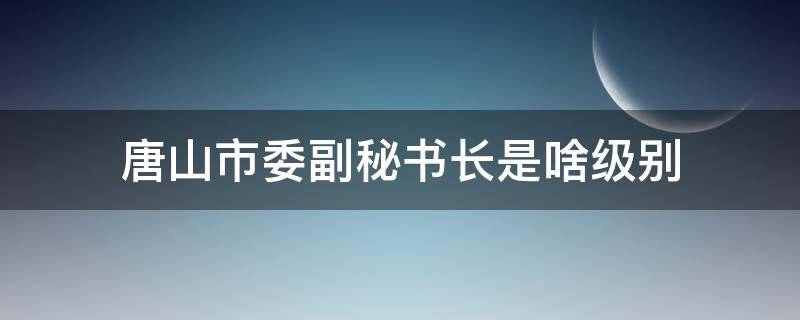 唐山市委副秘书长是啥级别 唐山市委副秘长名单