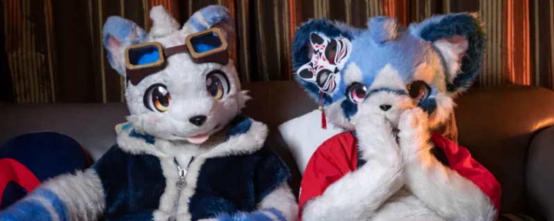 福瑞控是什么意思 furry