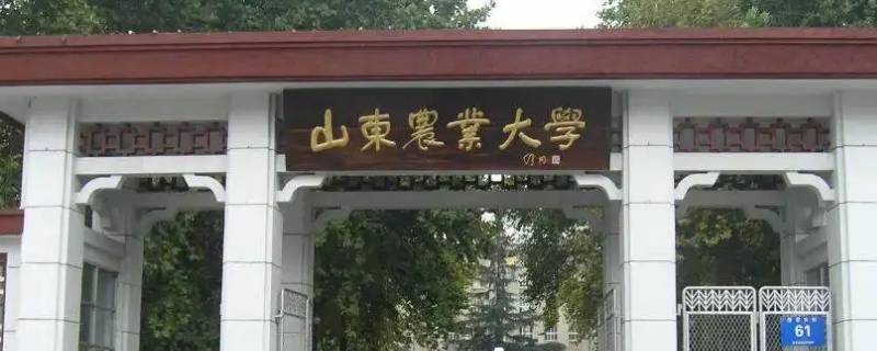 山东农业大学 山东农业大学官网