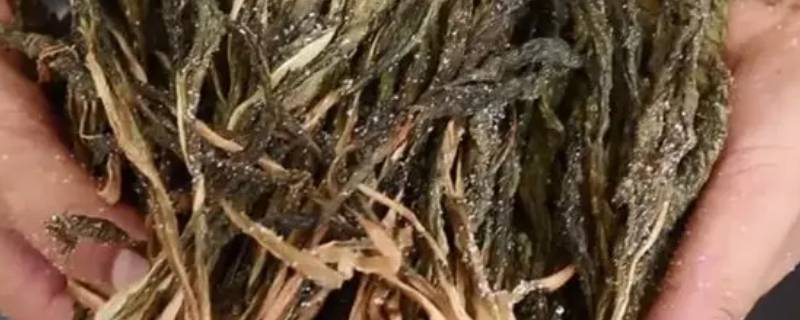 梅菜要泡多久才不咸 梅菜怎么做不咸