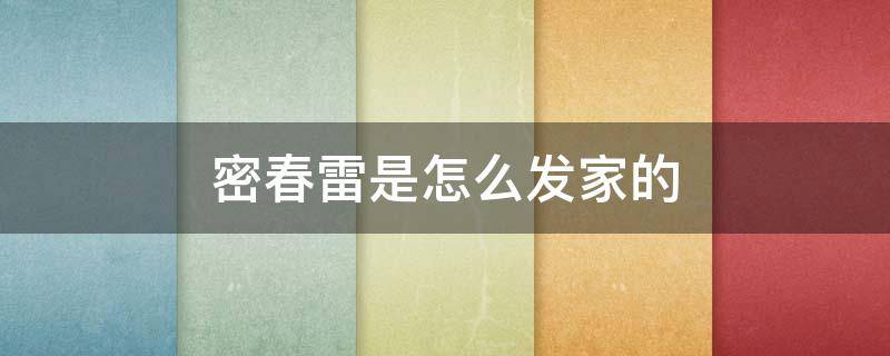 密春雷是怎么发家的 密春雷真的破产了吗