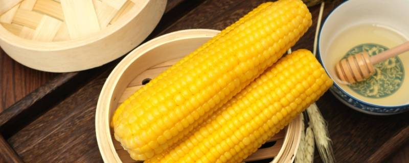 形容玉米果实的怎么说 玉米形容的形容玉米的