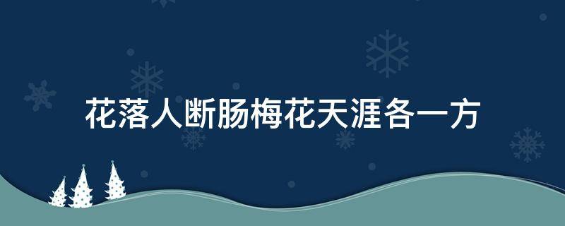 花落人断肠梅花天涯各一方（梅花一弄断人肠的意思是什么）