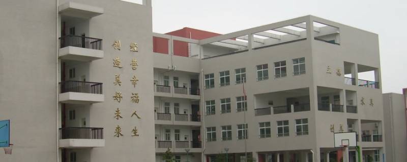 张鹏武汉南湖中学 武汉南湖中学严玮