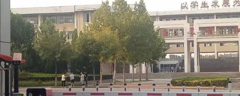 陵城一中教师名单（陵城一中教师名单照片）