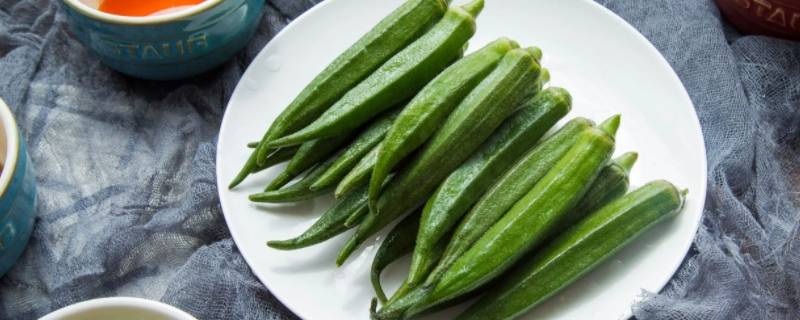 海拉尔适合种什么蔬菜（海拉尔种植什么农作物）