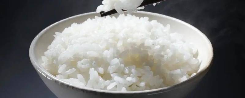 一碗米饭的热量（一碗米饭的热量高还是一碗面条的热量高）
