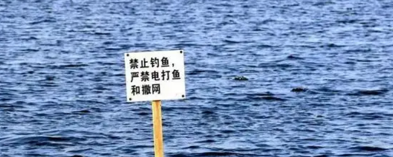 2022年禁渔期几月到几月（2022年禁渔期几月到几月结束浙江）