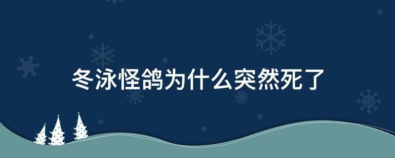 冬泳怪鸽为什么突然死了（冬泳怪鸽是不是有毛病）