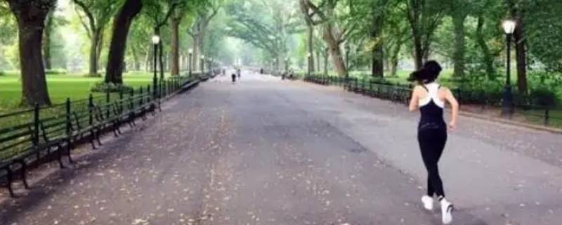 早上跑步几点钟跑是最好的（早上几点钟跑步比较好）