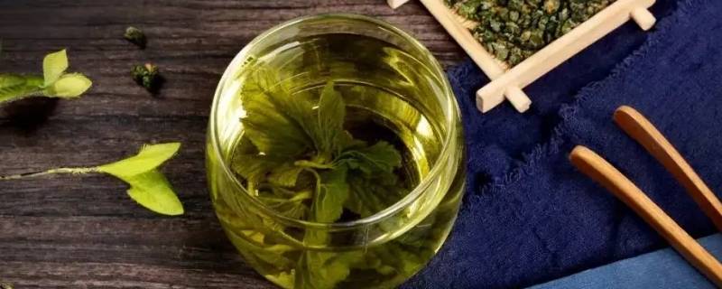 桑叶茶怎么制作方法 桑叶茶制作方法视频