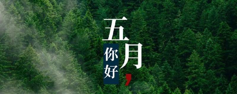 关于赞美5月的开场白（关于赞美5月的开场白怎么写）
